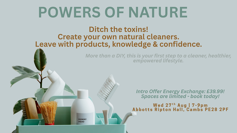 Create Your Low-Tox Home Workshop