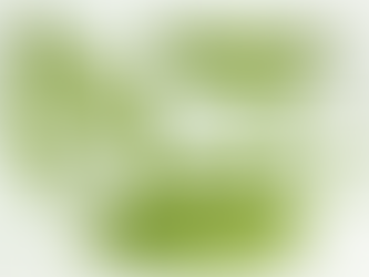 豌豆蛋白全攻略:一篇搞懂功效、適用族群、副作用及專業挑選策略