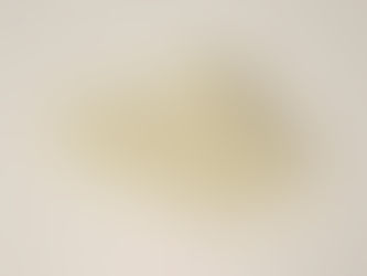 乳清蛋白是什麼?乳清蛋白的功效、成分比較、副作用、適用族群與挑選指南