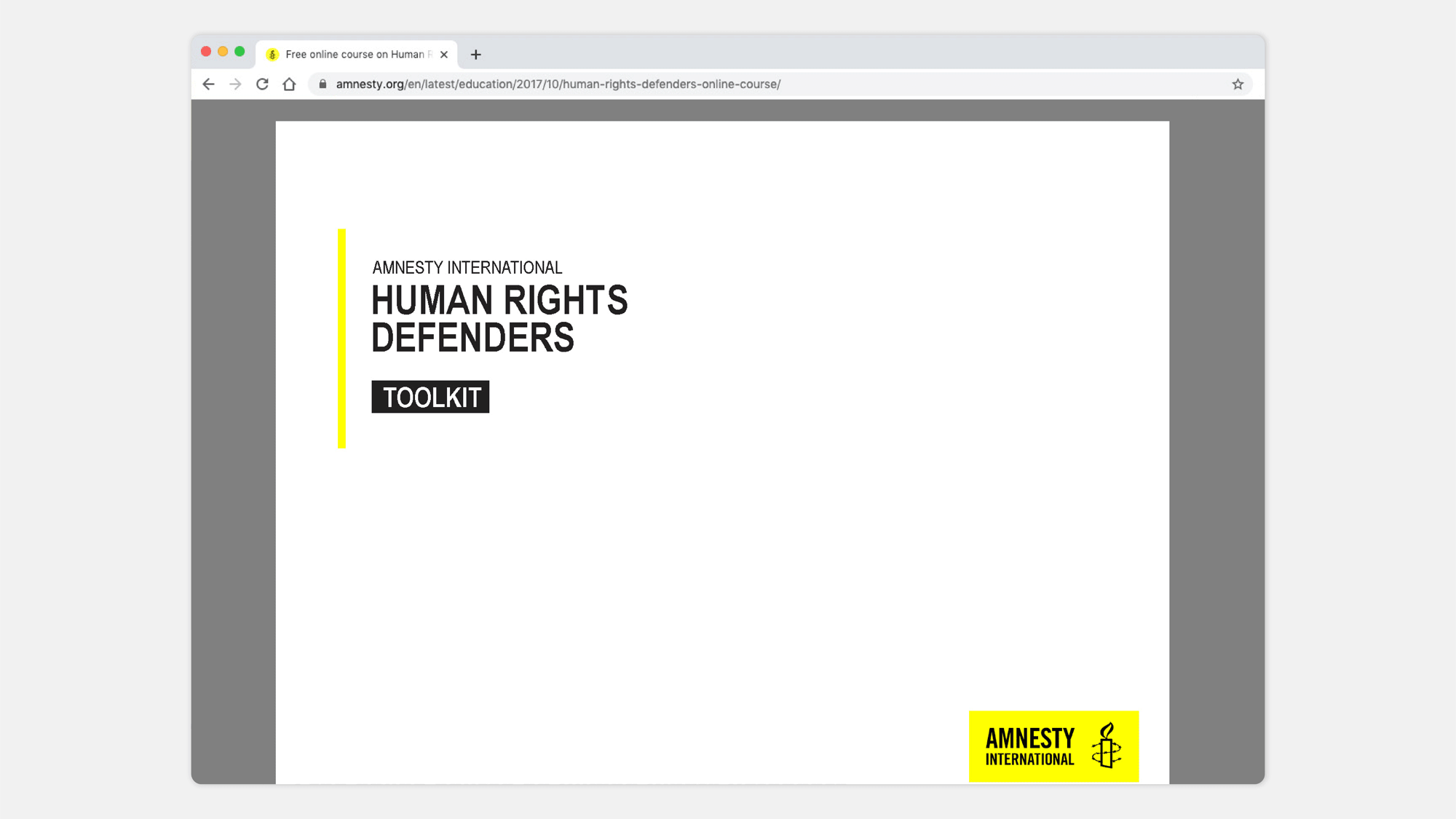 Amnesty-International_toolkit.gif