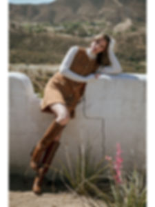 Melody Suede Shift Dress