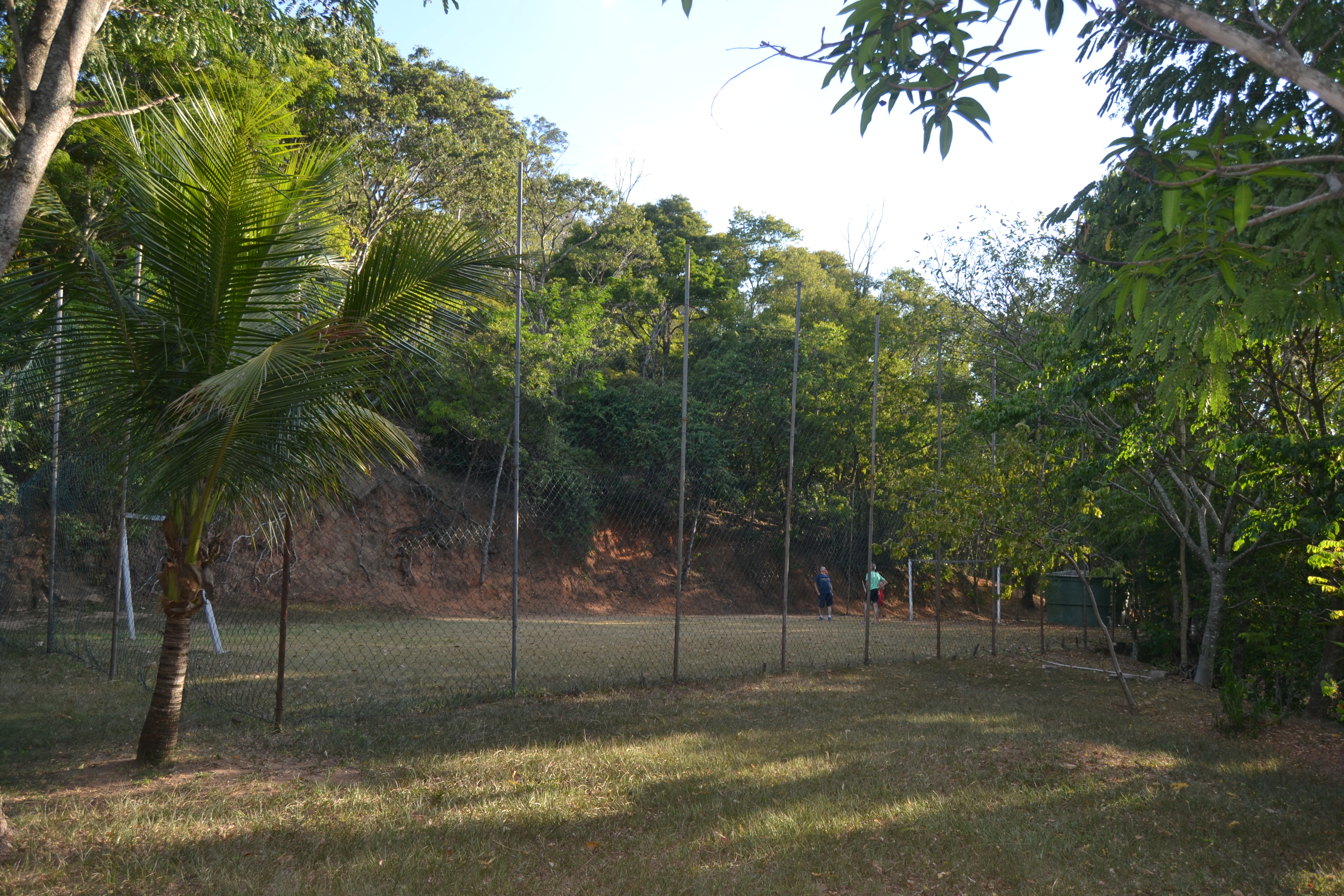 campo 3