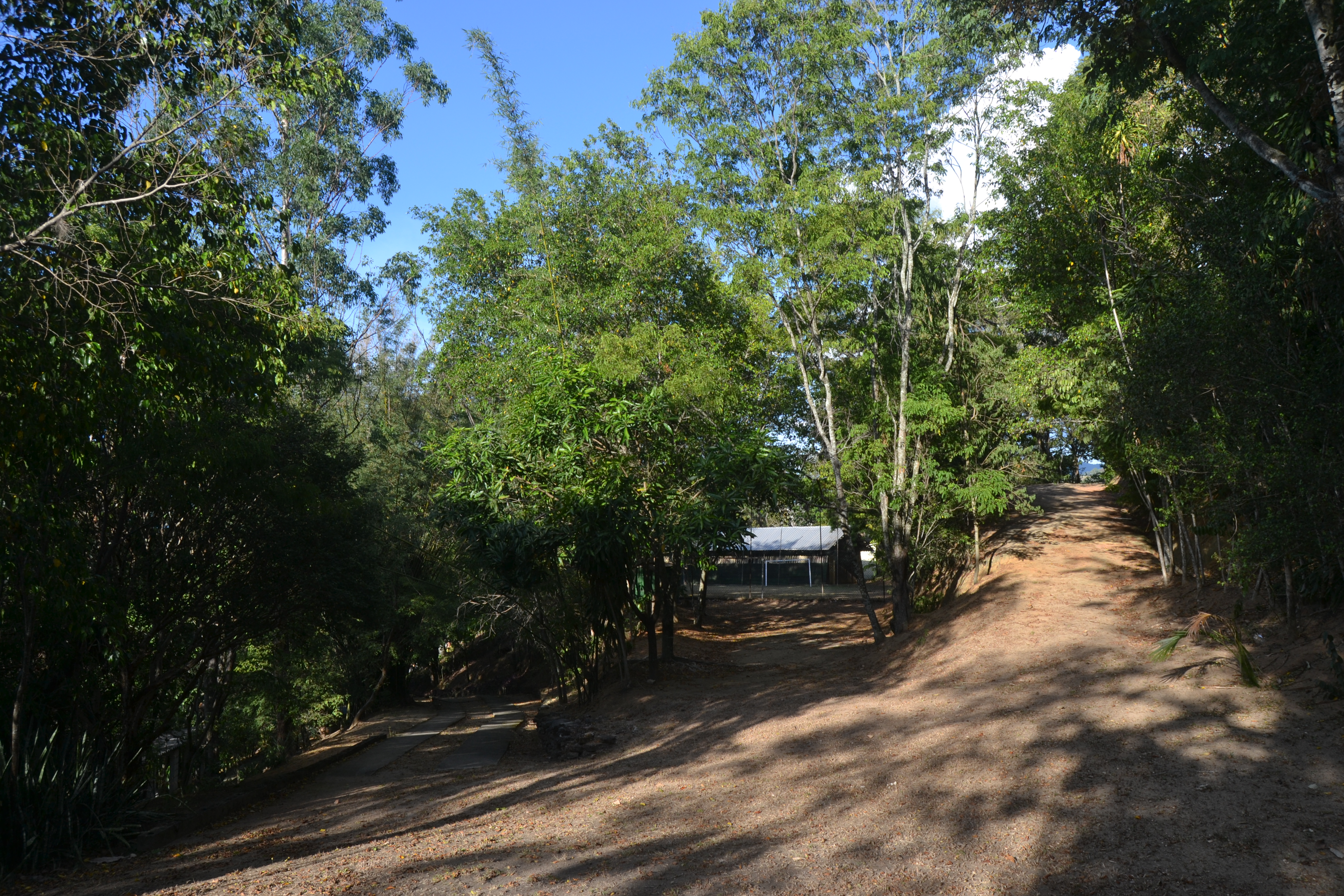 acesso campo 1