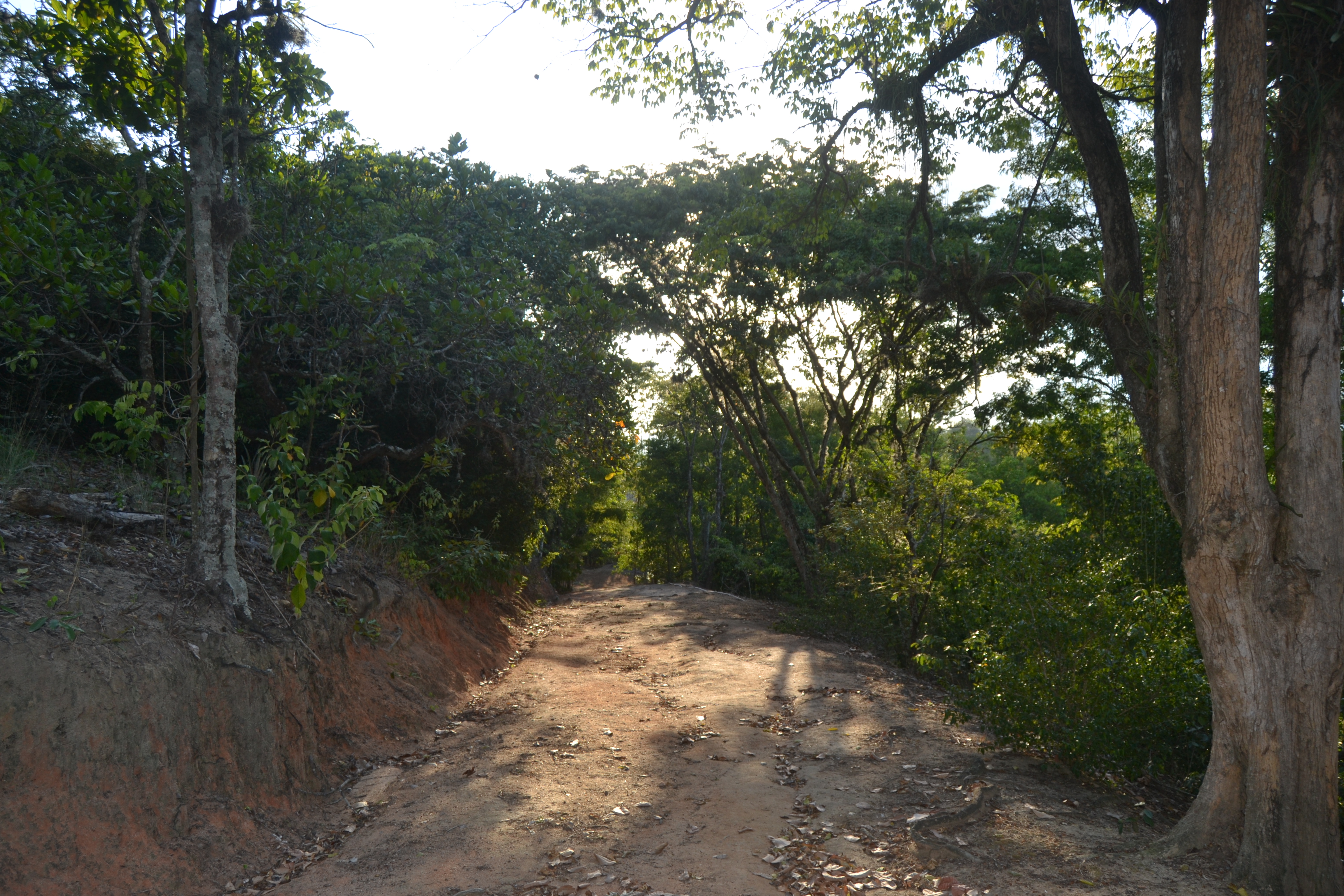 trilha_para_o_monte_de_oração