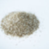 Celery Sea Salt | Charleston Spice Company | organic hand-blended