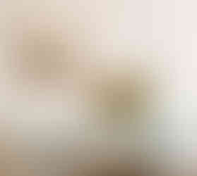 mist mudpaint furniture paint