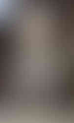 upholstered Dining Chair Before