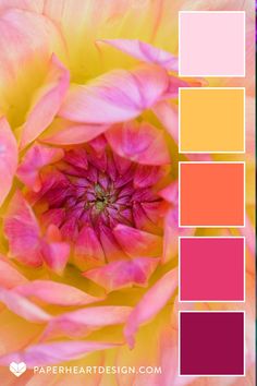 analogous color scheme