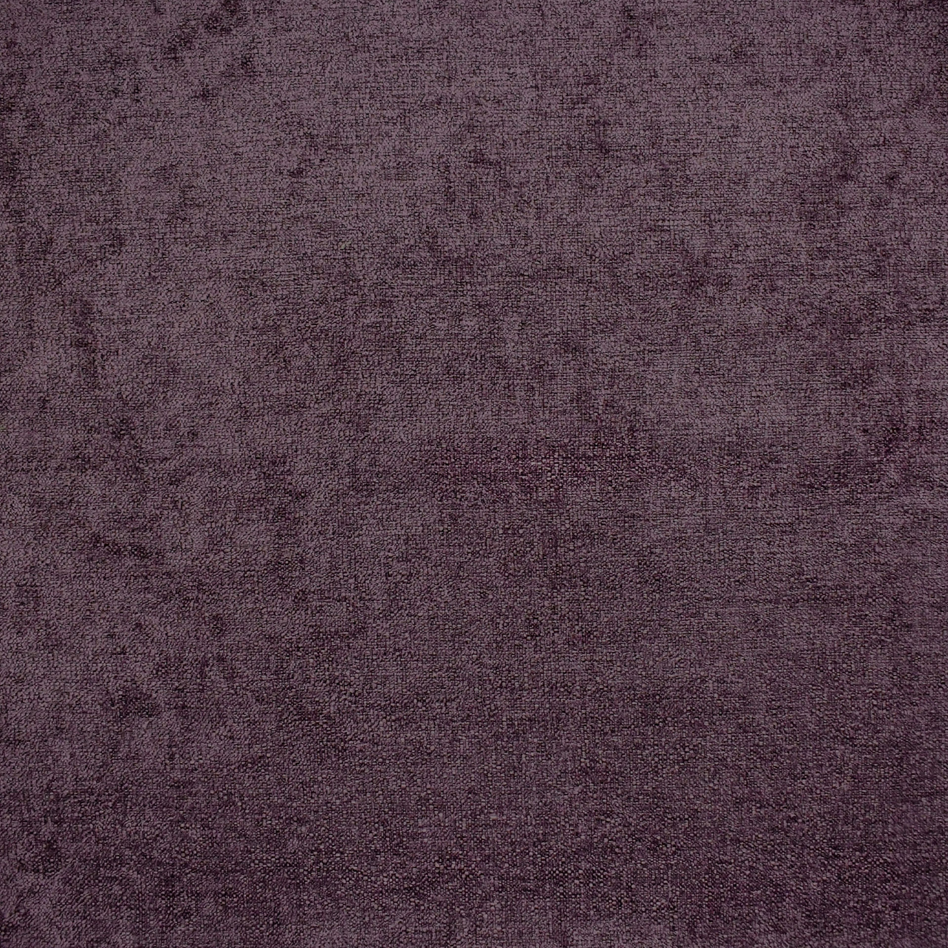 Eggplant