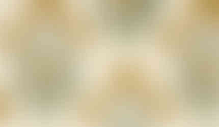 linen fabric by the yard