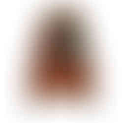 vintage furniture grand millenial