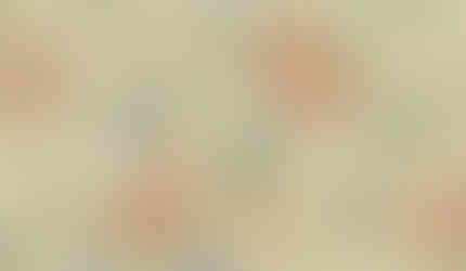 cotton fabric by the yard