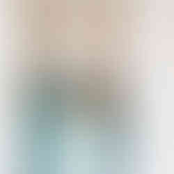 mudpaint furniture paint