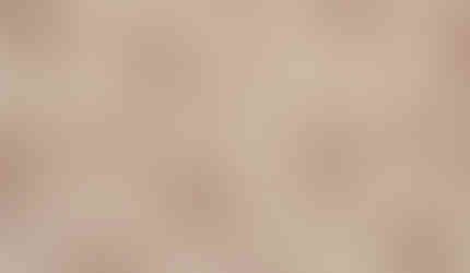 embroidered fabric by the yard