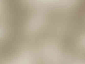 floral vine cotton fabric