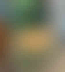 Grassy Green MudPaint