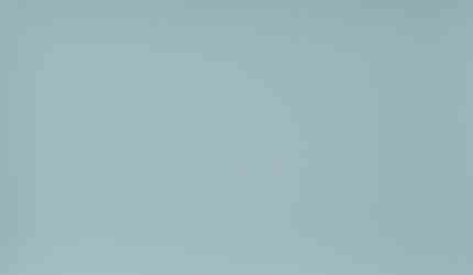 cotton fabric by the yard