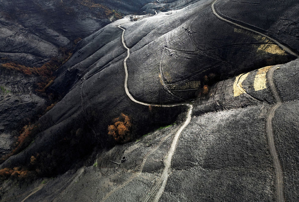 Europe dangerously unprepared for worsening wildfires, report says