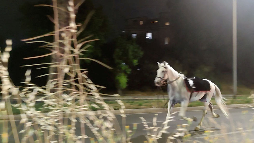 Horses bolt through Rome after policeman lights fireworks at parade rehearsal