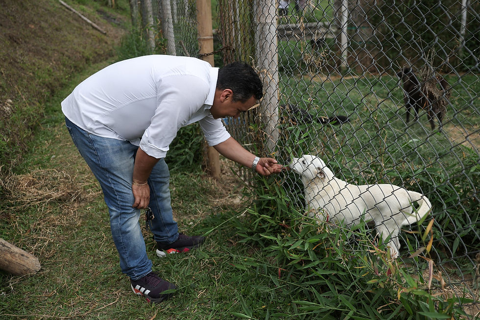 Free emergency pet care expands in Pereira as quake survivors face rising costs
