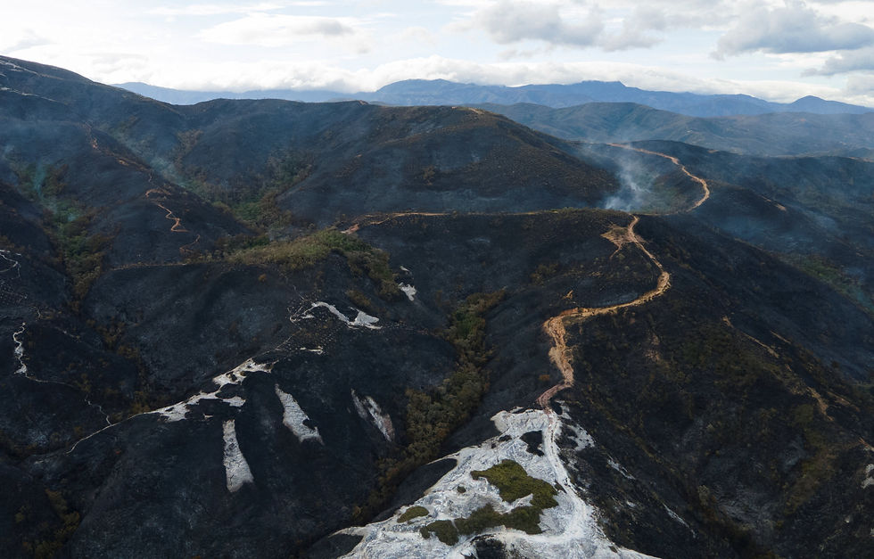 Aerial view ng mga lugar na naapektuhan ng wildfire sa Abrego, Colombia.