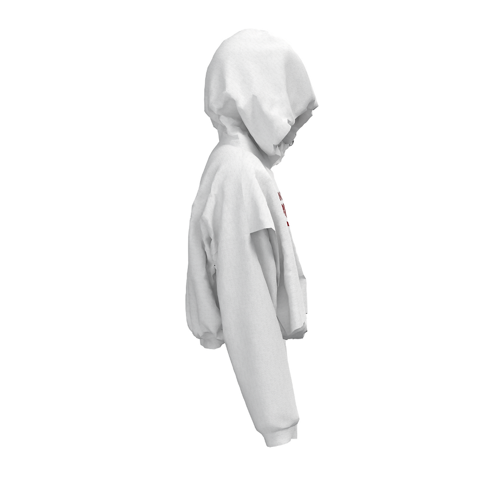 Miniatura: AW25 SWAG HOODIE