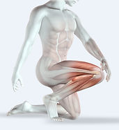 Leg muscles Clive Witham Gua sha guide