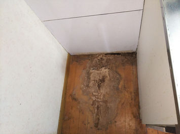 御前崎の新築　リフォーム　リノベーション　シロアリ対策　御前崎のシロアリ