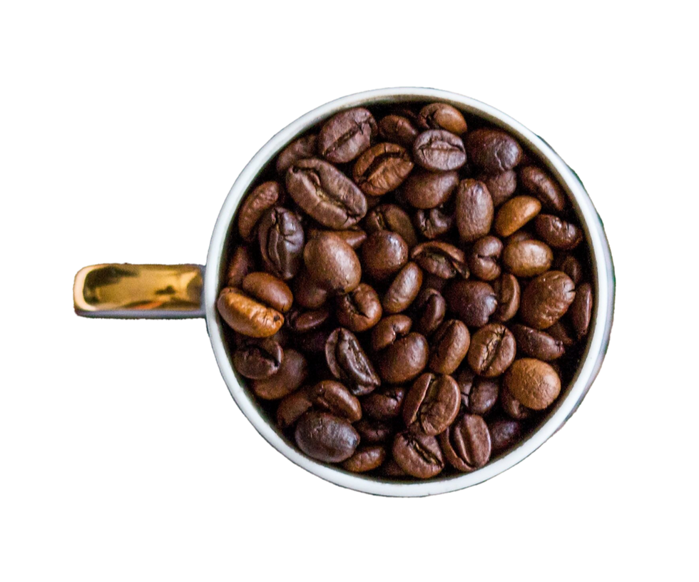 オーパスグリーン コーヒー豆 御前崎
