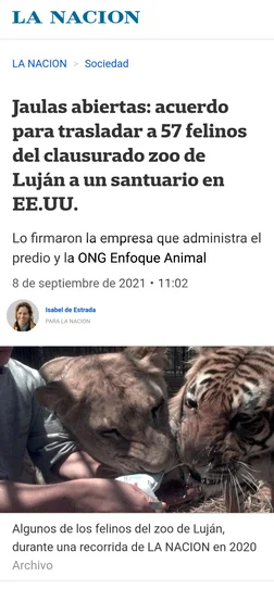 LA-NACION-GERALDINE-VIDAL-mjEW6qKbLRtZMn6r (1).webp