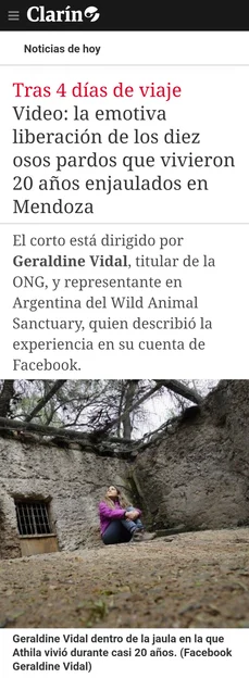 CLARIN-GERALDINE-VIDAL-mP4oVaRPpDuXL494.webp