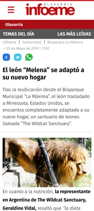 IINFOEME-GERALDINE-VIDAL-YyvGr0xNZau4q2j9.webp