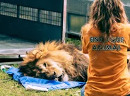 GERALDINE-VIDAL-ENFOQUE-ANIMAL-A3QW325rgGsBvJz6.webp