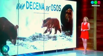 TELEFE-A3QWe7qNO2ULz1RL.webp