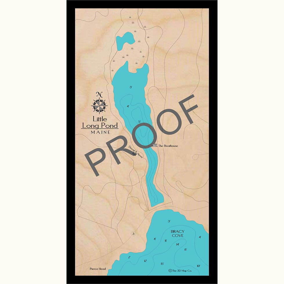 Little Long Pond 3D wood lake map art in traditional relief style featuring bathymetric depth layers.