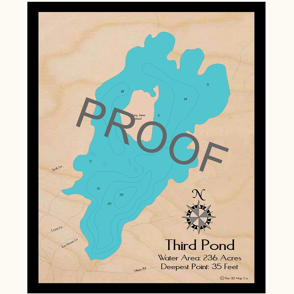 Third Pond 3d wood lake map art in traditional relief style featuring bathymetric depth layers.