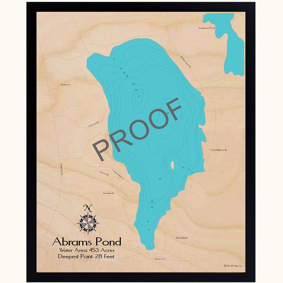Abrams Pond 3D wood lake map art in traditional relief style featuring bathymetric depth layers.