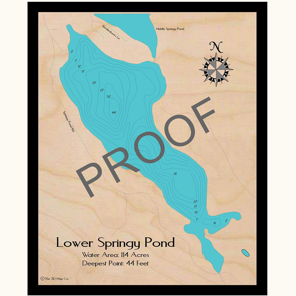 Lower Springy Pond 3d wood lake map art in traditional relief style featuring bathymetric depth layers.