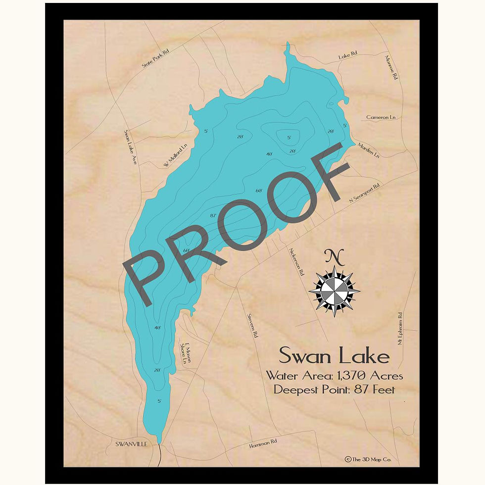 Swan Lake 3d wood lake map art in traditional relief style featuring bathymetric depth layers