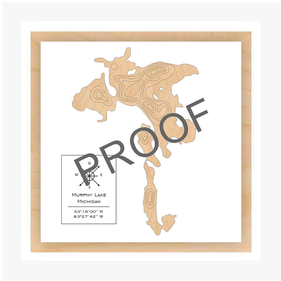 Modern 3d wood map of Murphy Lake Michigan - Minimalist White and Birch Design.