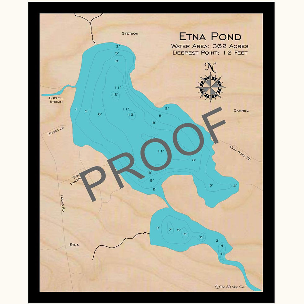 Etna Pond 3d wood lake map art in traditional relief style featuring bathymetric depth layers.