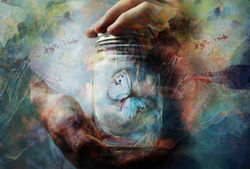 Butterfly JAR