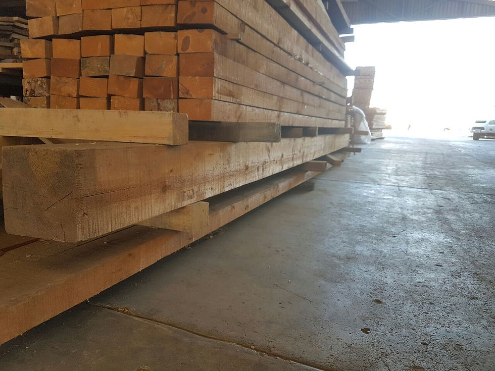 Trimasa Maderería Querétaro