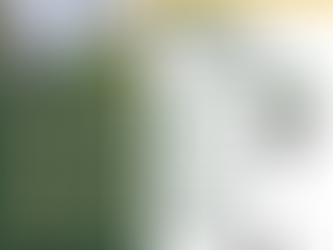 Experience Excellence: NDMU Opens Doors for "The Tatak Marista Experience" 2026