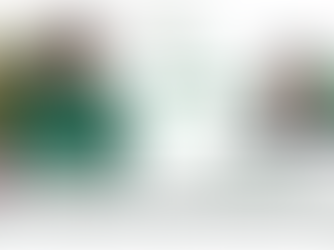 Rachel Sitier, NDMU Grant-in-Aid Scholar, Ranks 10th in the Certified Financial Management Specialist (CFMS) Examination