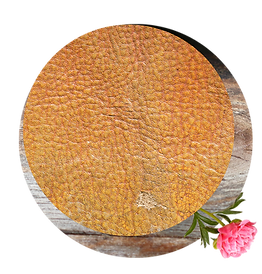 Spiritueel Onderhuid.png