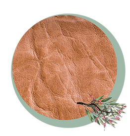 Emotioneel Opperhuid.png