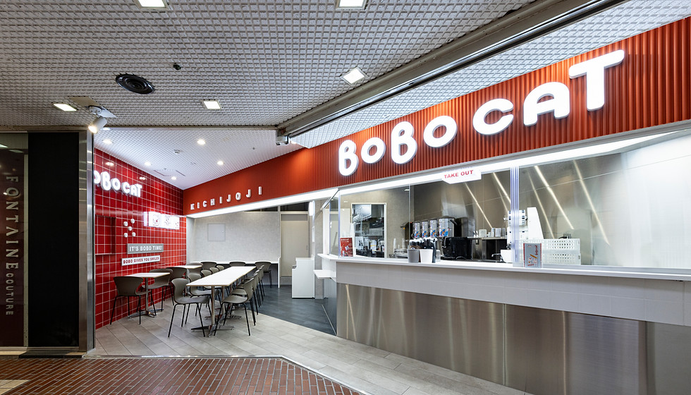 bobocat_0001.jpg