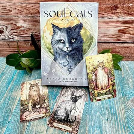 Soul Cats