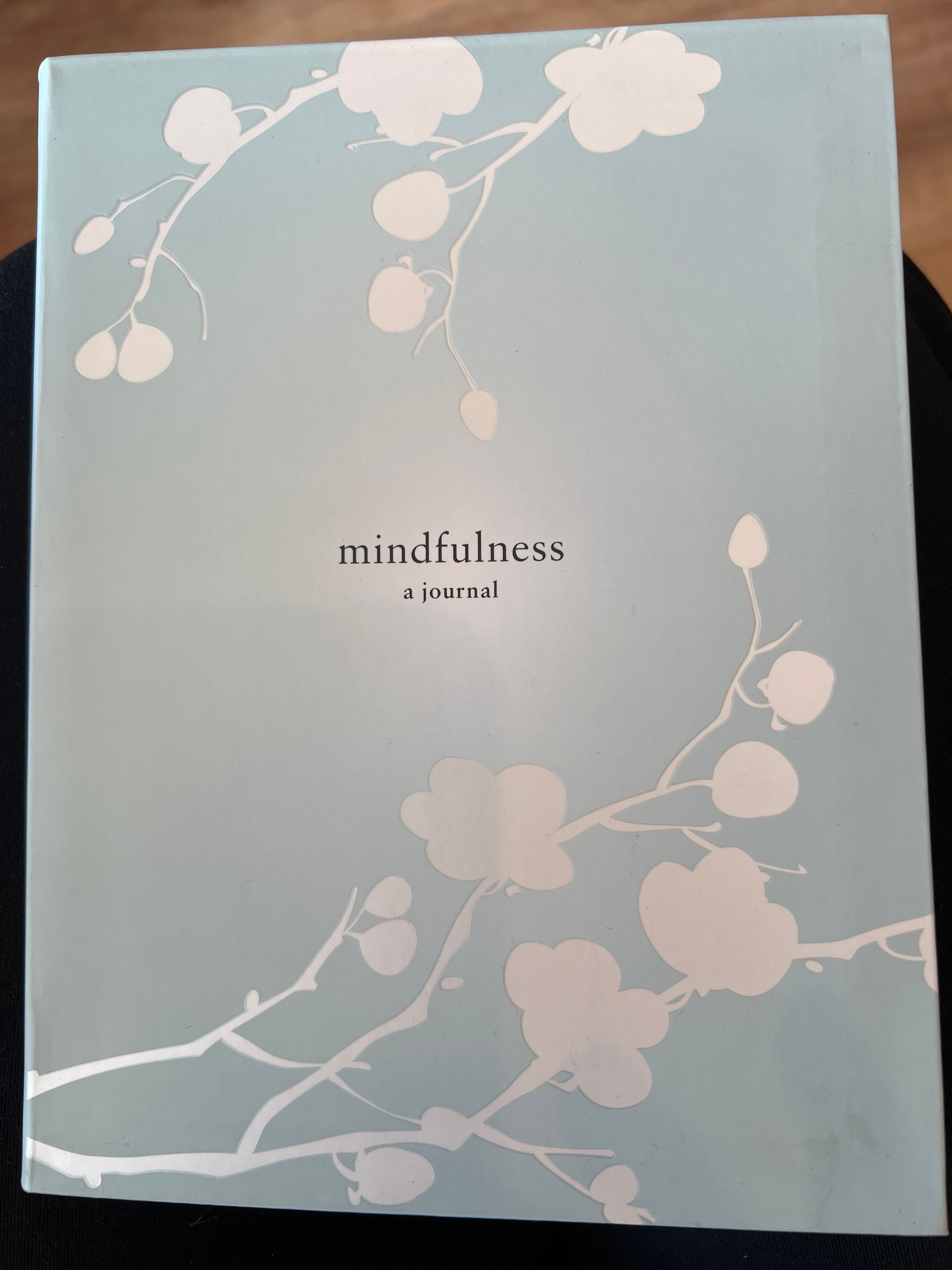 Mindfulness A Journal 